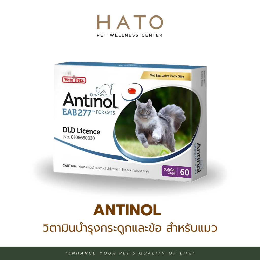 Antinol Cat แอนทินอล อาหารเสริมไขมัน บำรุงข้อ สำหรับแมว 1 กล่อง (60 เม็ด) Vetz Petz