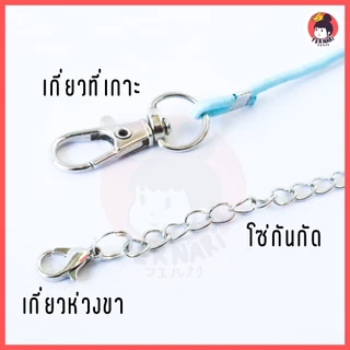 สายจูงนกแก้ว ตะข้อสี ยาว 1-5 เมตร สีพาสเทล แบบยืดหยุ่นได้ สายฝึกนกบิน สายคล้องขานกแก้ว นกแก้ว ป้องกันนกหลุด
