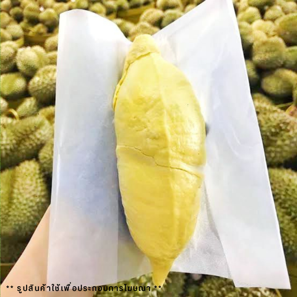 กระดาษห่อทุเรียน กระดาษไข สีขาว มี 2ขนาด เล็ก/ใหญ่