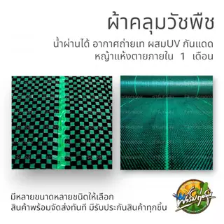 พลาสติกคลุมวัชพืช ผ้าคลุมหญ้า พลาสติกเกรดส่งออก ผสมUV ฆ่าหญ้า เห็นผลไวถายใน 1เดือน อยุ่ทนกว่า 3-5 ปี