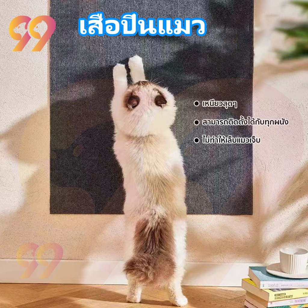 99PET เสื่อปีนแมว ที่ลับเล็บแมว สามารถติดตั้งได้กับทุกผนัง เหนียวสุดๆ ปกป้องโซฟาเฟอร์นิเจอร์