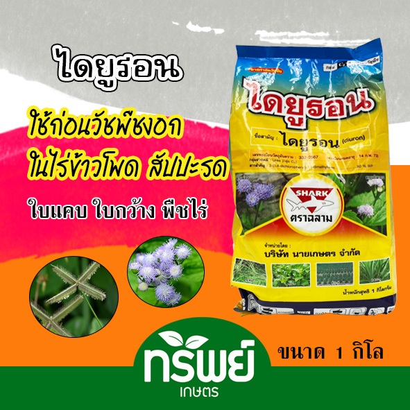 ไดยูรอน80 ตราฉลาม ขนาด 1 กิโลกรัม กำจัดวัชพืชใบแคบ-ใบกว้าง ใช้ได้ทั้งไร่อ้อย มัน และสัปปะรด