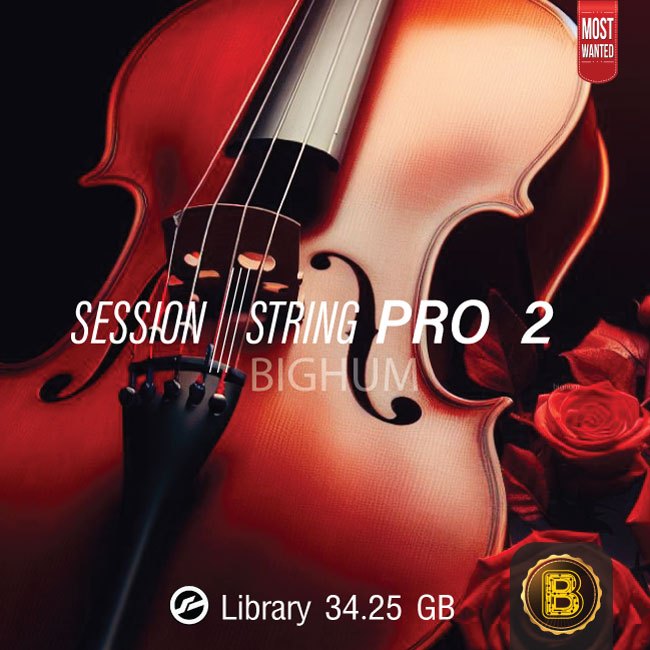 SESSION STRING PRO 2 | Kontakt Library | software windows / mac