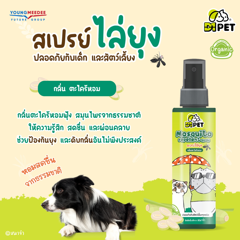 D1 Pet x หมาจ๋า สเปรย์ไล่ยุง สูตรออแกนิค ปลอดภัยกับเด็กและสัตว์เลี้ยง 120ml ราคา ถูกที่สุด ดีลบีเคเค แกลเลอรีภาพที่ 7