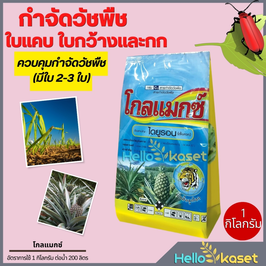 โกลแมกซ์ ไดยูรอนเม็ด ขนาด 1 กิโล สารกำจัดและคุมวัชพืชได้ทั้ง ใบแคบ ใบกว้าง ทำลายเข้าสู่รากและใบ