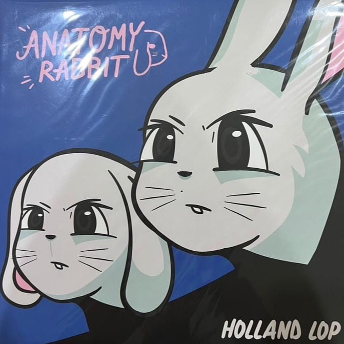 แผ่นเสียง LP Anatomy Rabbit : Holland Lop ( 1st press )