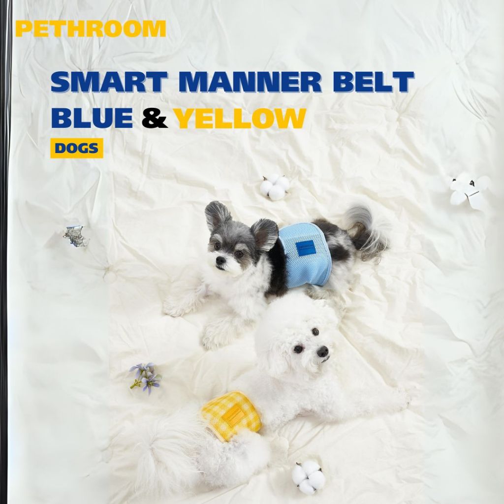 Pethroom Smart Manner Belt Blue & Yellow ผ้าคาดเอว พร้อมแผ่นซัพ สำหรับสุนัข นำเข้าจากเกาหลี