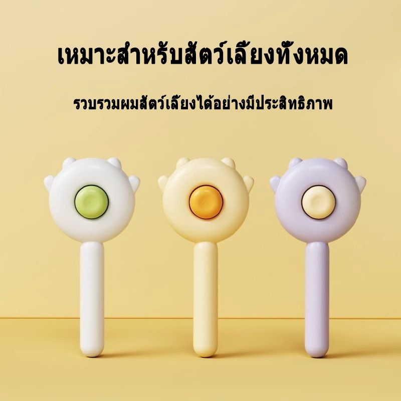 รูปภาพ 3