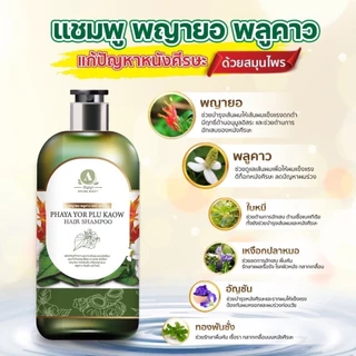 โปรแชมพู1สบู่1 แก้คัน เชื้อรา กลากเกลื้อน ผมร่วง ของแท้จากบริษัท