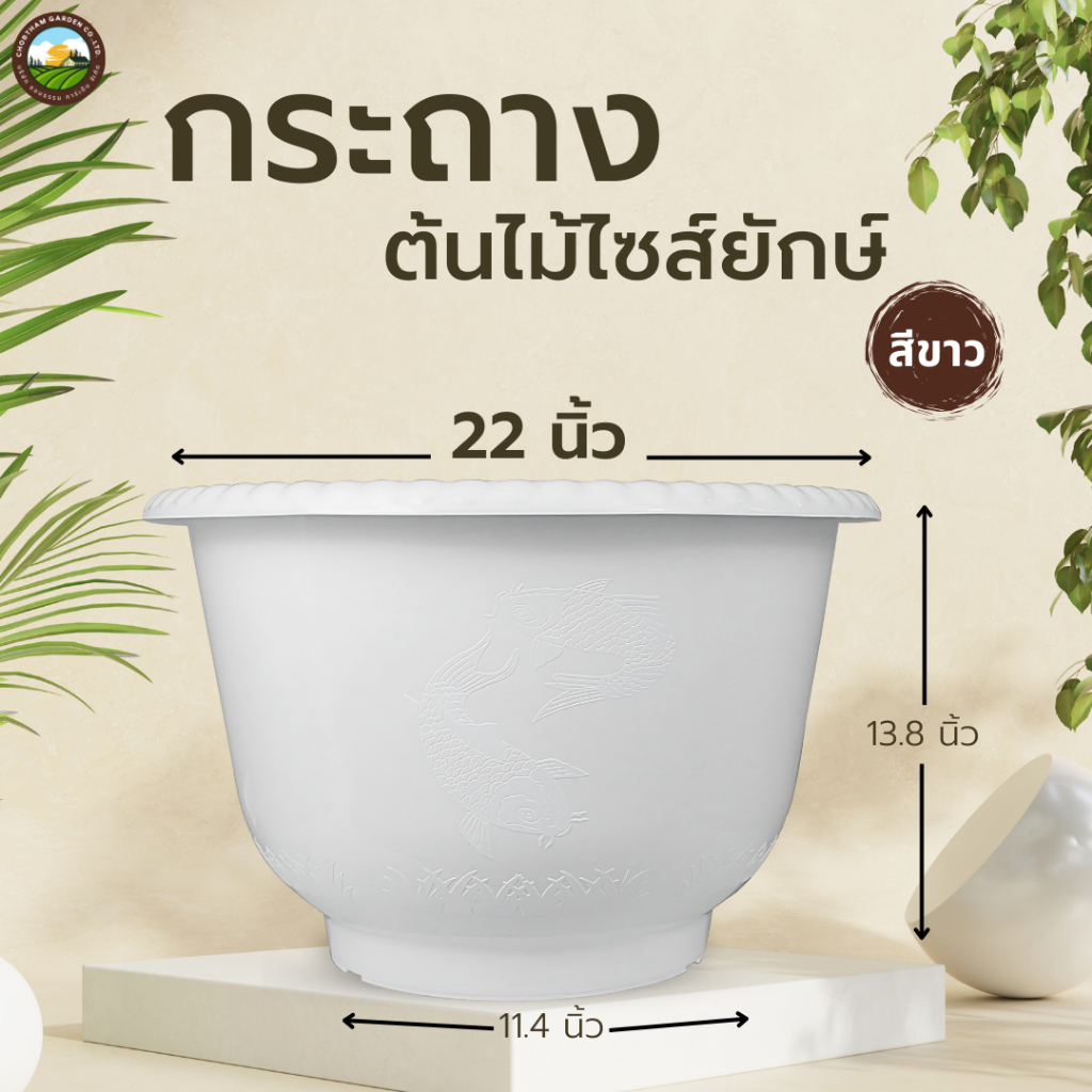 กระถางต้นไม้ไซส์ยักษ์ 22นิ้ว สีขาว อ่างบัวพลาสติก แบบหนา อ่างเลี้ยงปลา กระถาง 22 นิ้ว