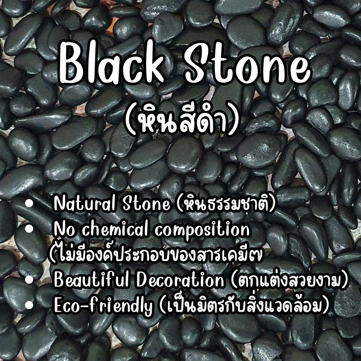 หินสีดำ (Black Stone) หินตกแต่งสวน