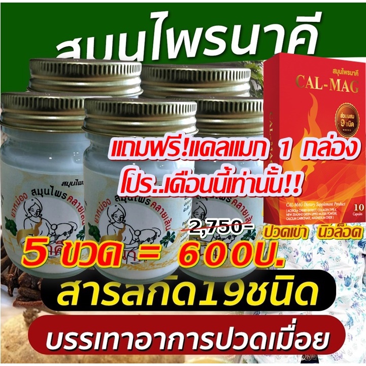 สมุนไพรนาคี ครีมคลายเส้น สำหรับ นวด นวดแผนไทย ลดอาการปวดเข่า ปวดหลัง ปวดสะโพก นิ้วล็อค ปวดเมื่อย