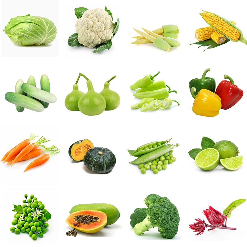 รูปภาพ 2