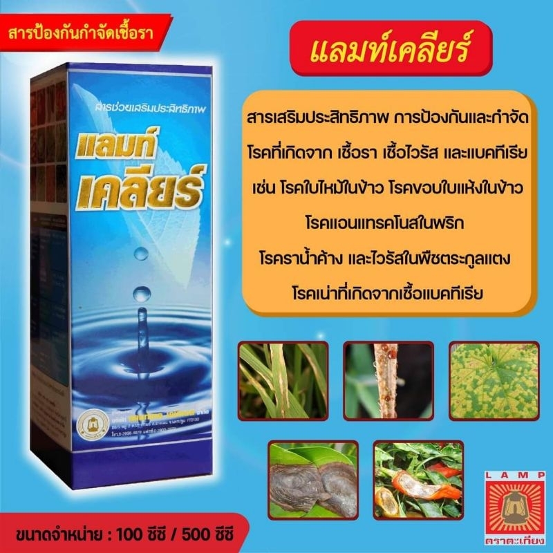 แลมท์เคลียร์สารช่วยเสริมประสิทธิภาพยากำจัดและป้องกันเชื้อราทุกชนิดเพื่อให้ยารักษาโรคพืชได้ประสิทธิภาพที่ดียิ่งขึ้น