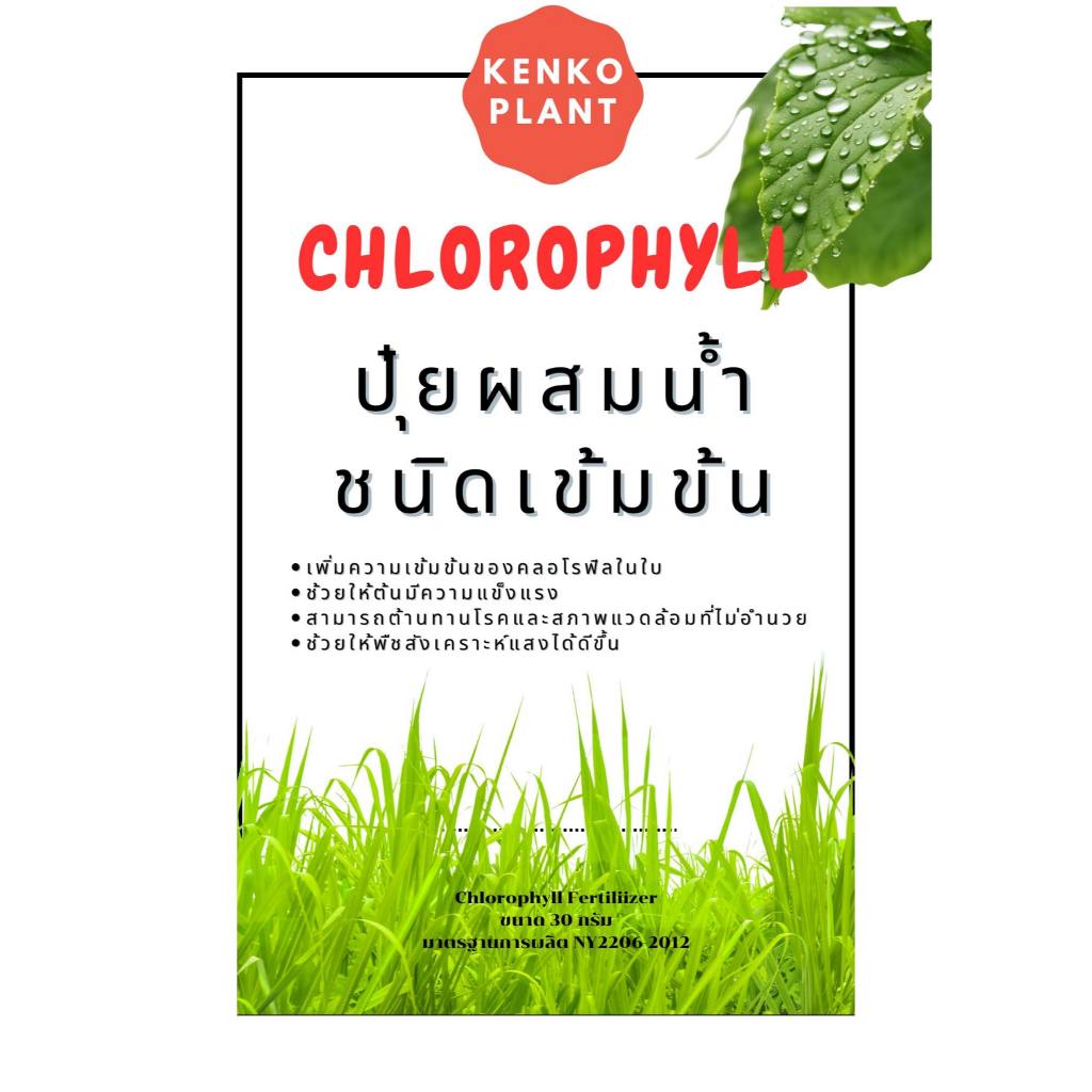ปุ๋ยผสมน้ำสูตรเข้มข้น เร่งหญ้าให้เขียวแข็งแรง เร่งดอกเร่งผลต้นไม้ดอกไม้
