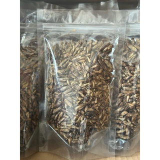 [ZC] สะดิ้ง&จิังหรีด อบแห้ง Dried Crickets ขนม&อาหารทานเล่นสำหรับหนูแฮมสเตอร์ ชูการ์ เม่นแคระ นก กิ้งก่า ฯลฯ