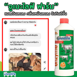 อูเมะไลฟ์ ปศุสัตว์ 1000cc แพ็ค 1-3 ขวด กำจัดกลิ่นคอกสัตว์ ดับกลิ่นเหม็น ลดแมลงวันในคอกวัว หมู ไก่