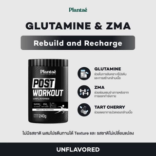 Plantae Performance Set : เซต Pre + Post Workout 1 กระปุก ทานก่อนหลังออกกำลังกาย เวทเทรนนิ่ง คาดิโอ