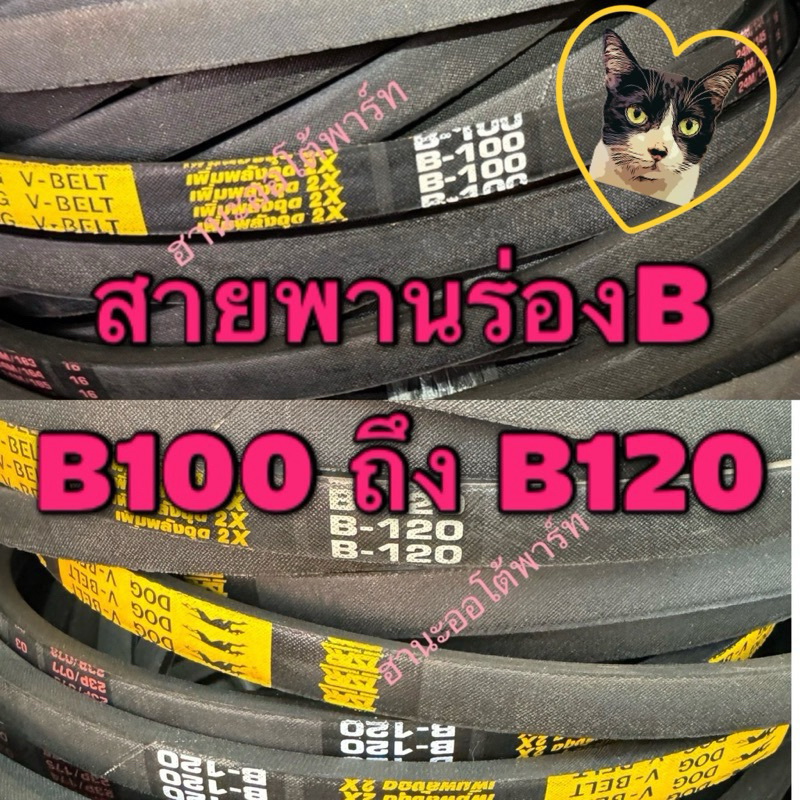 สายพานร่องB 100 - B120 สายพานรถไถนา สายพานเกษตร ร่องบี ตราหมา - ดอกจิก