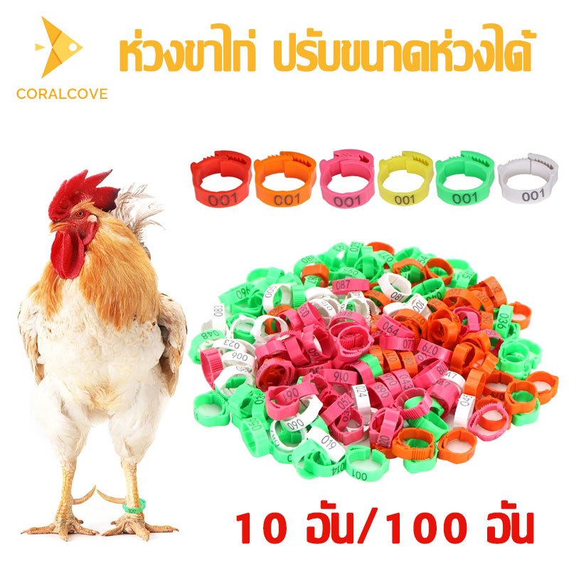 coralcoveshop ห่วงขาไก่ ปรับขนาดได้ เเหวนพลาสติก ห่วงขาไก่ชน แหวนใส่เท้าไก่ เป็ด ห่าน ทำประวัติสัตว์