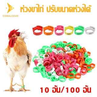 coralcoveshop ห่วงขาไก่ ปรับขนาดได้ เเหวนพลาสติก ห่วงขาไก่ชน…