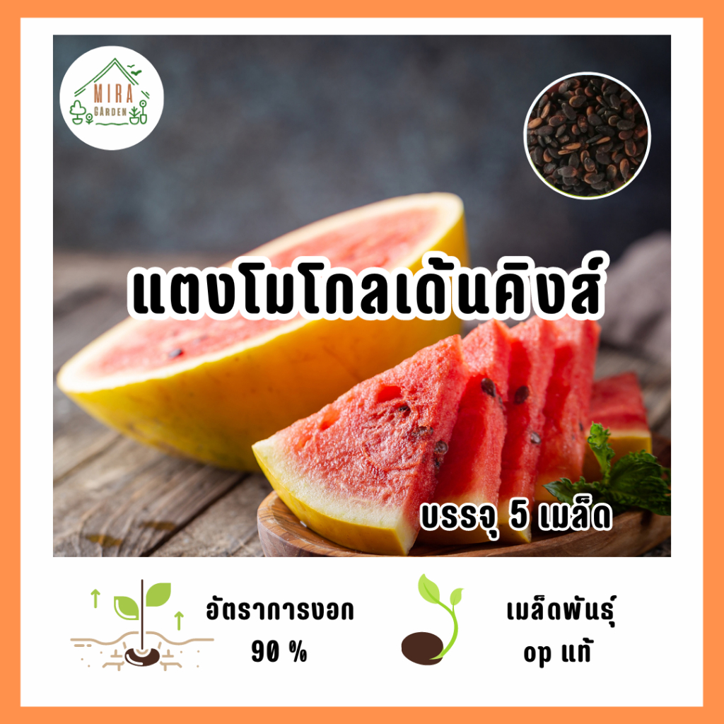 เมล็ดพันธุ์ แตงโมโกเด้นคิงส์ บรรจุ 5 เมล็ด