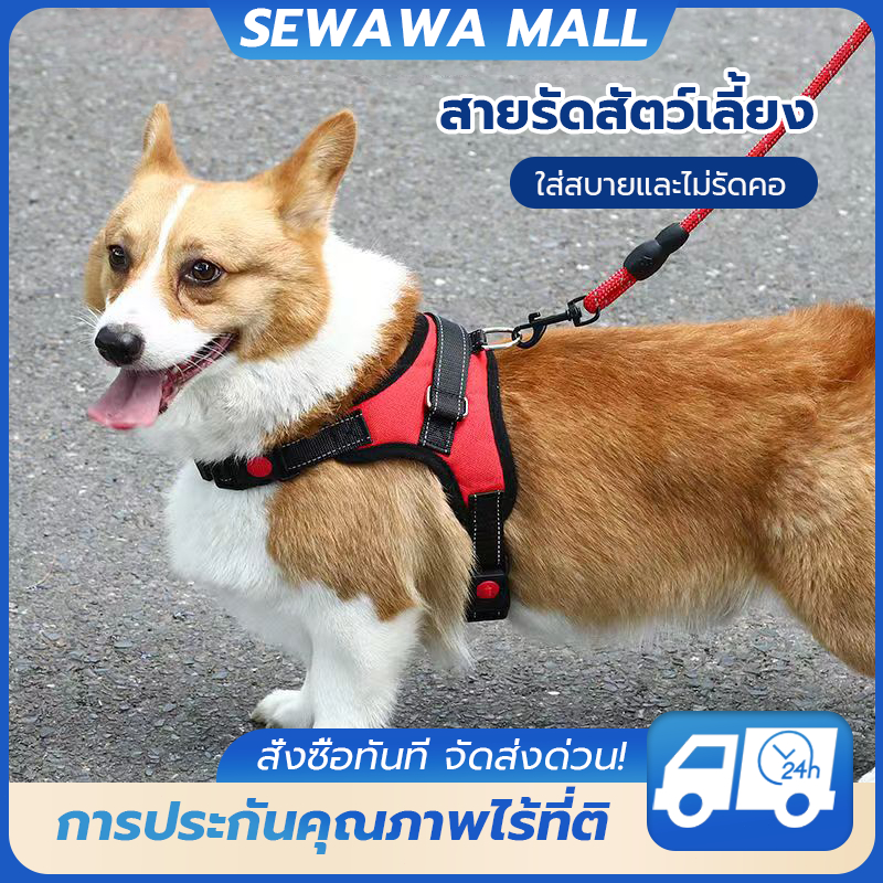 สายรัดสัตว์เลี้ยง หน้าอกและหลังสัตว์เลี้ยงสะท้อนแสง สายจูงแมวและสุนัข เข็มขัดสัตว์เลี้ยงป้องกันการระเบิดแบบเสื้อกั๊ก
