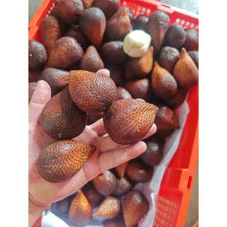 สละอินโด หวานกรอบเนื้อกรุบ