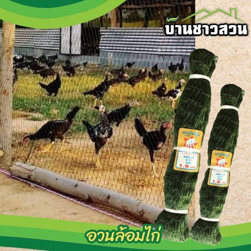 ตาข่ายล้อมไก่ อวนล้อมไก่ กรงไก่ สูง 1.5 เมตร - 2 เมตร ด้ายเบอร์ 12 ตา 2 นิ้ว - 2.5 นิ้ว