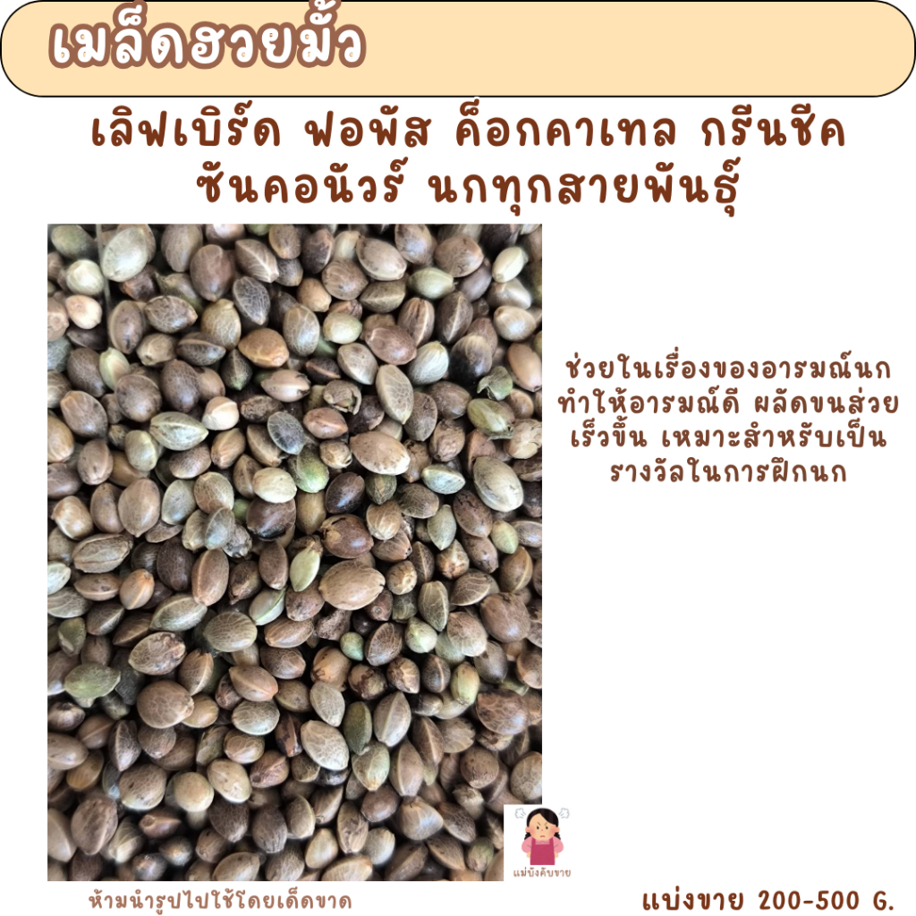 เมล็ดฮวยมั้ว (แบ่งขาย 200-500G.) อาหารนกสำหรับฝึกนก ให้รางวัลนก