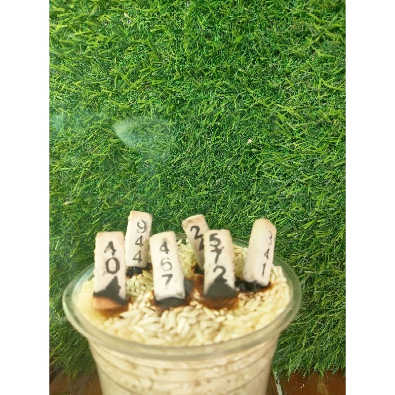 1:1 ลดล้างสต๊อก :ธูปท้าวเวสสุวรรณ ถุงละ500แท่ง ธูปเสี่ยงโชค เลขธูป เลข3หลัก ราคา ถูกที่สุด ดีลบีเคเค แกลเลอรีภาพที่ 2