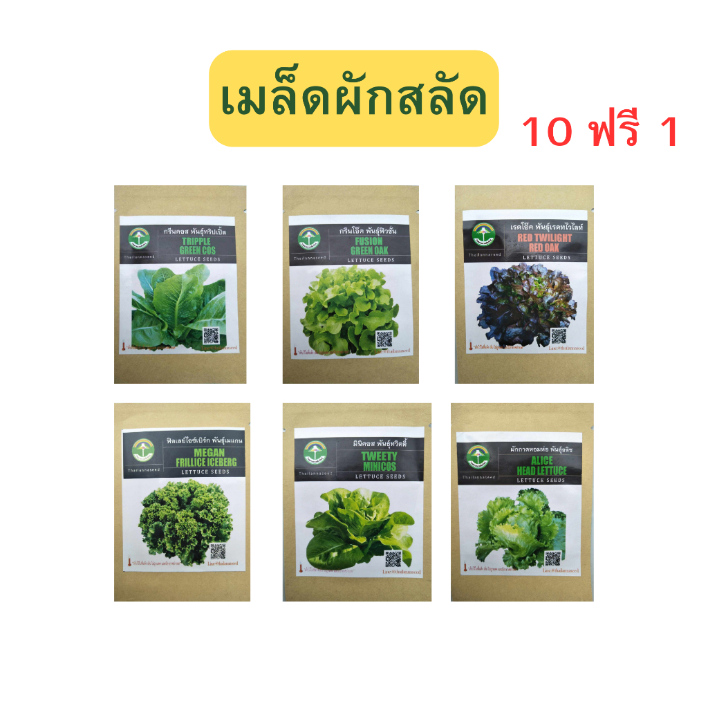 เมล็ดผักสลัด 10 ฟรี 1 เมล็ดผักสลัด 6 ชนิด อัตราการงอกสูง เมล็ดผักสลัดคุณภาพดี