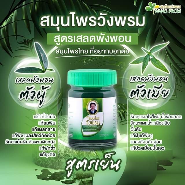 ( 1 ขวด ) ยาหม่อง วังพรมสมุนไพร ขนาด50กรัม /สีเขียวสูตรเสลดพังพอน/สีเหลืองสูตรไพล