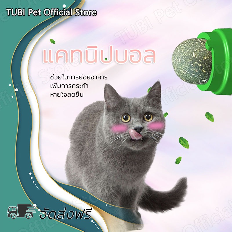 TUBI กัญชาแมว แคทนิปบอล ติดกำแพง ไม่กลิ้งหาย กันชาแมวเลีย แคทนิปบอล ติดกำแพง
