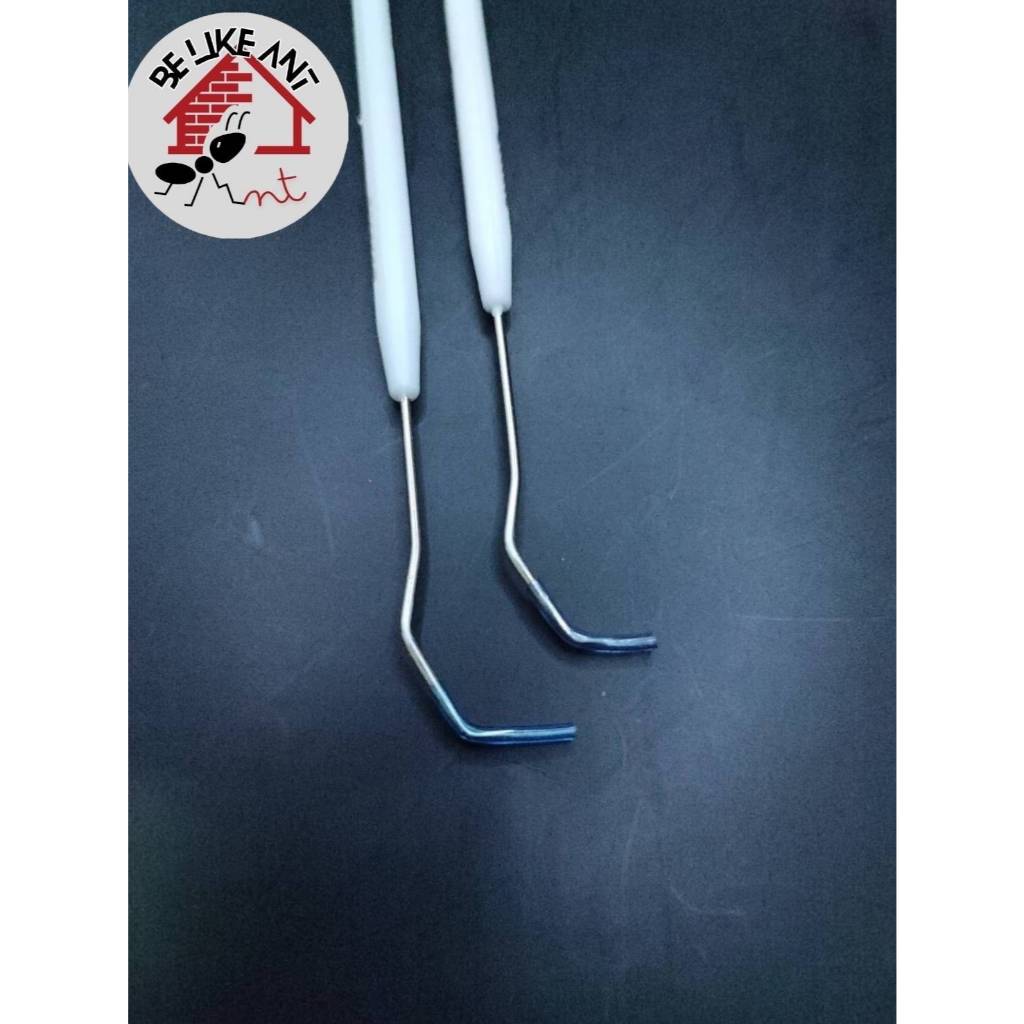 ตะขอสแตนเลสเกี่ยวสำลีในหลอดทดลองเลี้ยงมด - รูปที่ 7