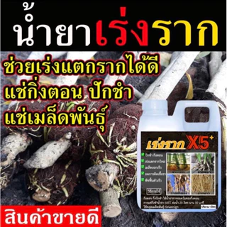 น้ำยาเร่งรากx5 แตกรากใหม่เร็ว โปรสุดคุ้ม 1 แถม 1