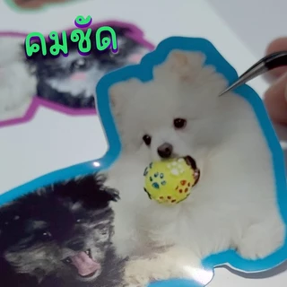 สติกเกอร์ไดคัทกันน้ำสั่งทำ ออกแบบฟรีไดคัทฟรี ใส่ชื่อใส่รูปได้