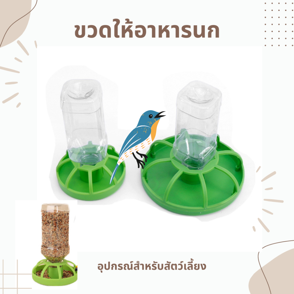ขวดให้อาหารนกอัตโนมัติ ที่ใส่อาหาร อุปกรณ์สำหรับสัตว์เลี้ยง