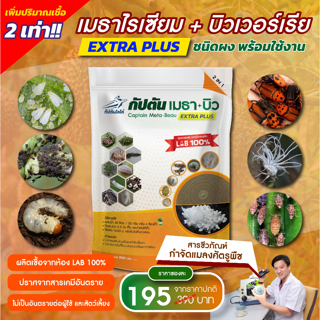 กัปตันเมธาบิว สูตรเข้มข้น เชื้อ 2 เท่า เชื้อบิวเวอร์เรีย + เมธาไรเซียม แบบผง(500กรัม) ปลอดภัย 100 %