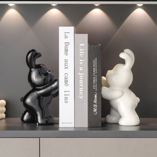 กระต่ายพรีเมี่ยมที่ทันสมัยตู้ทีวีสร้างสรรค์ตู้หนังสือห้องนั่…