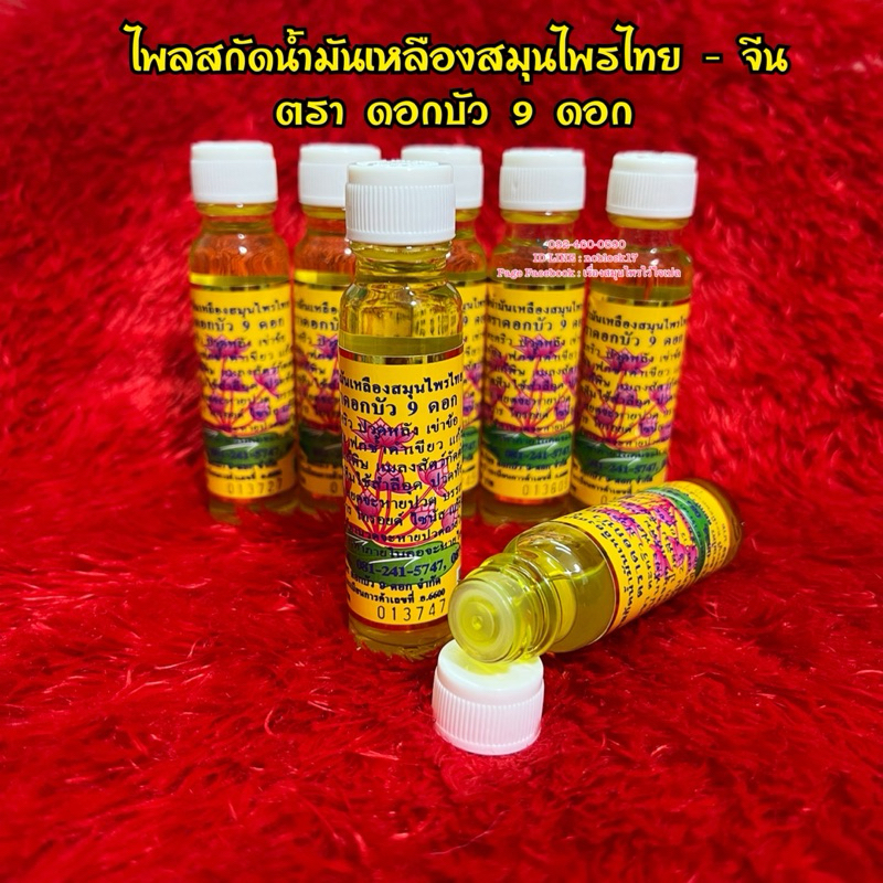 ไพลสกัดน้ำมันเหลืองสมุนไพรไทย - จีน ตรา ดอกบัว 9 ดอก