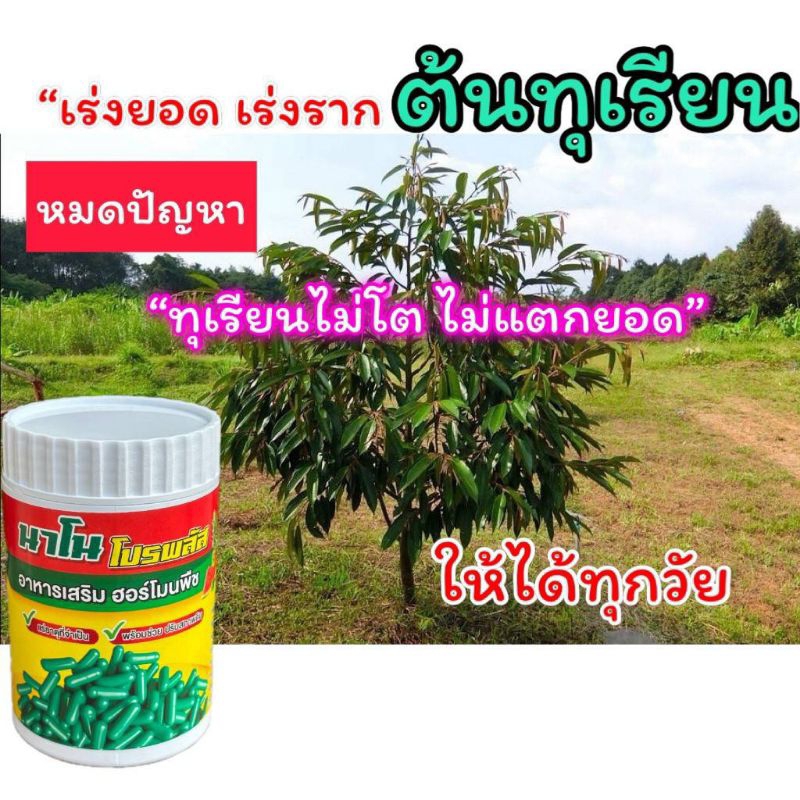 นาโนโปรพลัสฮอร์โมนพืช100แคปซูล