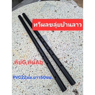 ขลุ่ยไทยขลุ่ยพีวีซีเทียบเสียงสากลคีย์Ab,Gพีวีซีขนาด22มมแถมถุ…