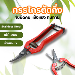 ปลีก/ส่ง กรรไกรตัดกิ่งไม้ ปากงอ ด้ามจับนุ่ม พร้อมใช้งาน ใบมีดผลิตจากสแตนเลส