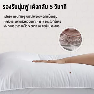 1000g หมอนหนุน หมอนโรงแรม5ดาว นอนหนุนเพื่อสุขภาพ หมอน กันไรฝุ่น หมอนข้าง ปลอกหมอนข้าง สีขาว พร้อมกลิ่นไม้วอร์มวู