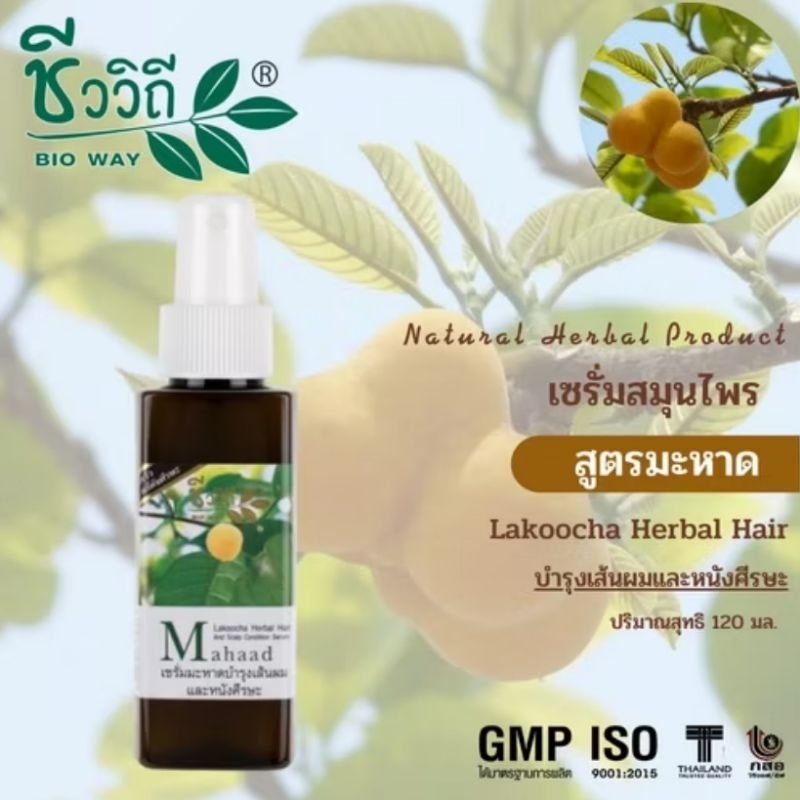 ชีววิถี เซรั่มมะหาด บำรุงผม และหนังศีรษะ ลดผมร่วง ไม่ชี้ฟู