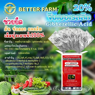 จิ๊บเม็ด จิบเบอเรลลิน Gibberellin จิบเบอเรลลิก แอซิด ชนิดเม็ด Gibberellic Acid20%(GA3)เม็ดฟู่ละลายน้ำ100%/🛒หลายตัวเลือก