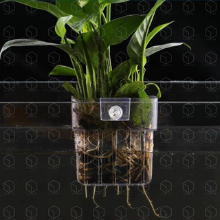 Water grass cup ถ้วยปลูกต้นไม้แบบแขวนข้างตู้ปลา ถ้วยปลูกไม้น้ำ