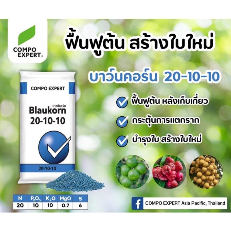 20-10-10บาวน์คอร์น ฟื้นต้นหลังเก็บเกี่ยว