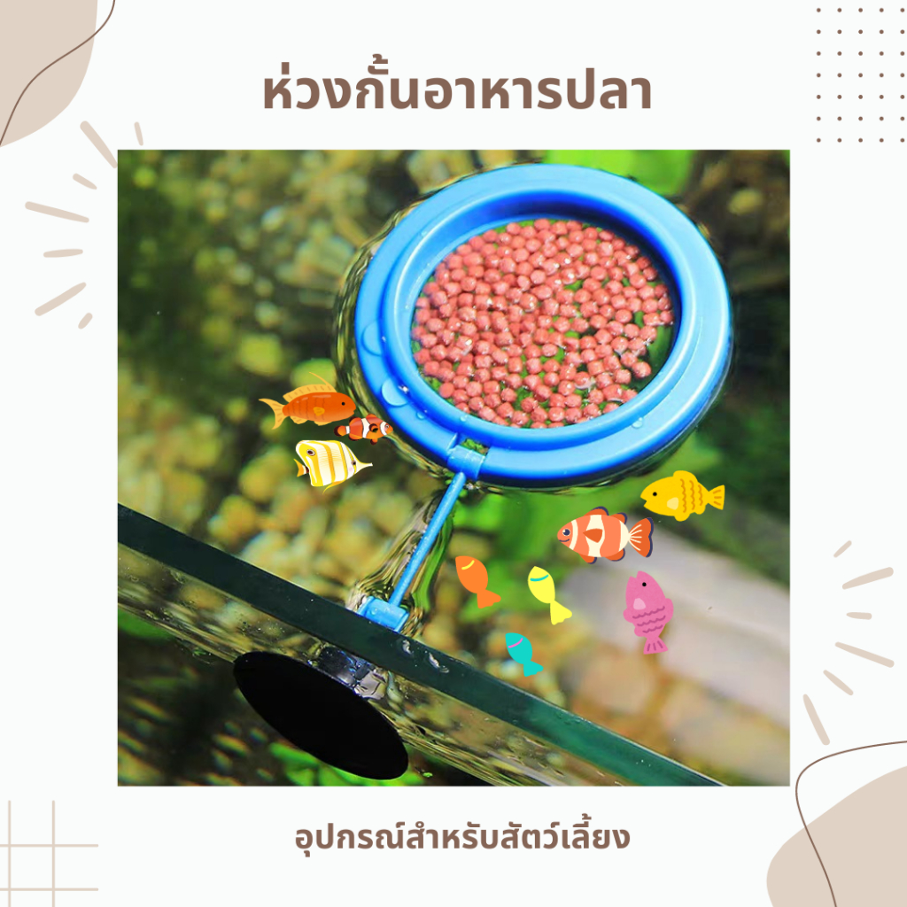 ห่วงให้อาหารปลา ที่กั้นอาหารปลาไม่ให้กระจาย ขนาดเล็ก
